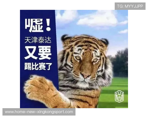 天津津门虎外线快速传递直接制造空当 天津津门虎外线快速传递直接制造空当